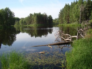 Озеро Щучье 