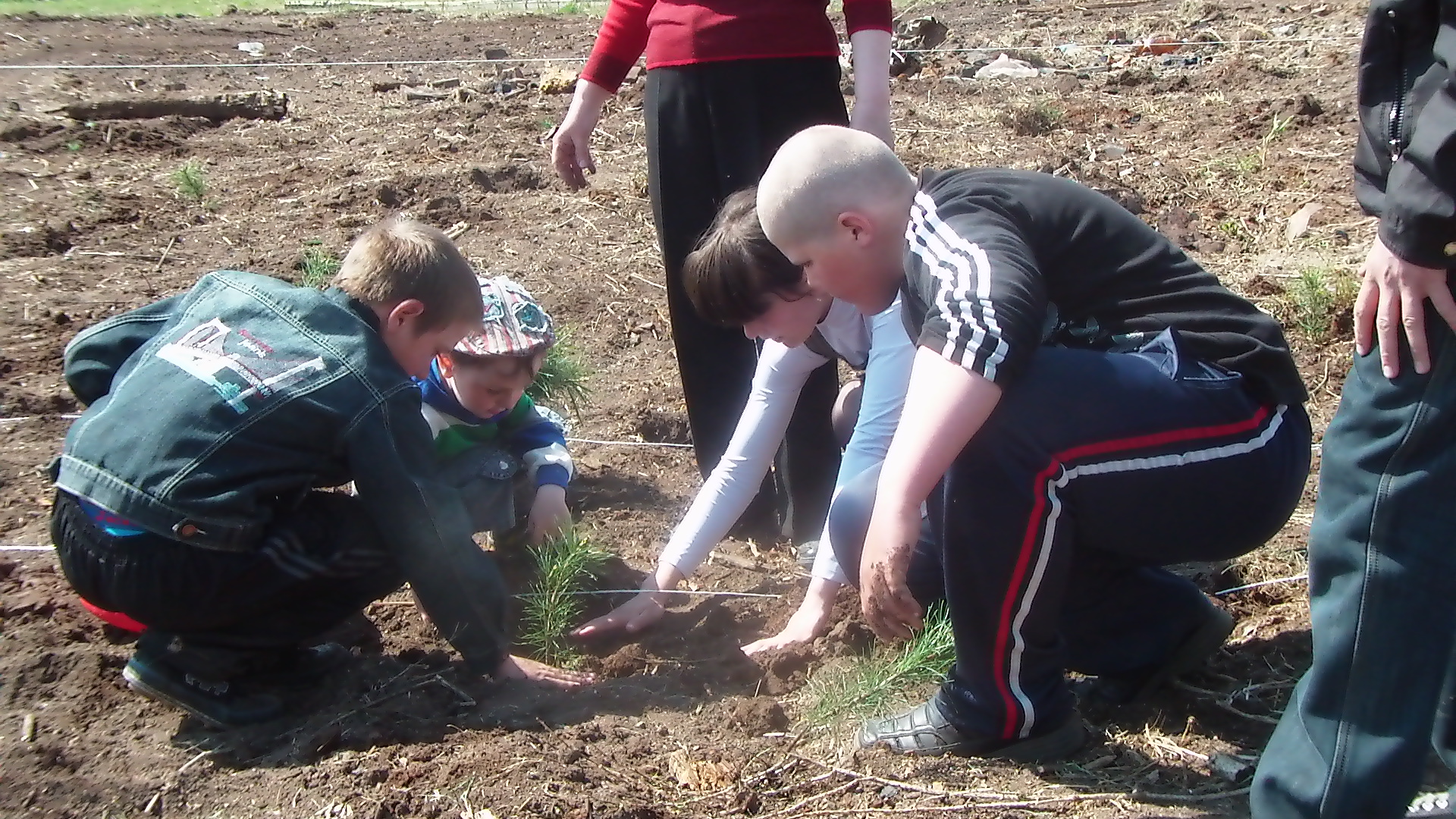 Департамент природных ресурсов и охраны окружающей среды